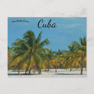 Beach in Cuba Postcard