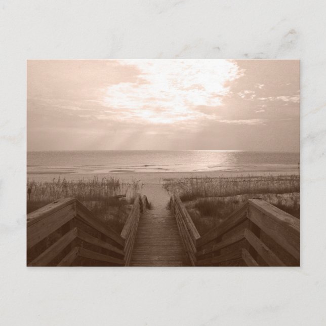 Beach in Florida Postcard (Front)