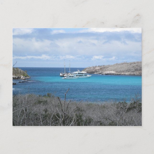 Beach in the Galapagos Islands Postcard (Front)