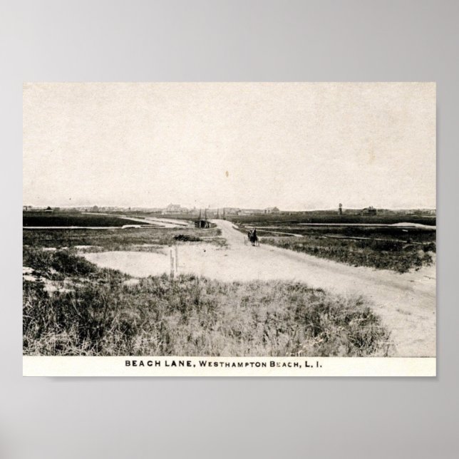 Beach Lane, Westhampton, New York, Vintage Poster (Front)