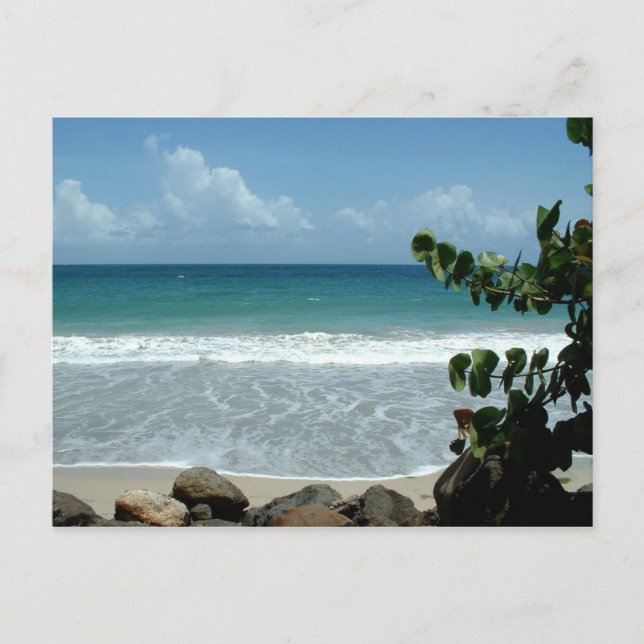 Beach, Le Diamant - Martinique, FWI Postcard (Front)