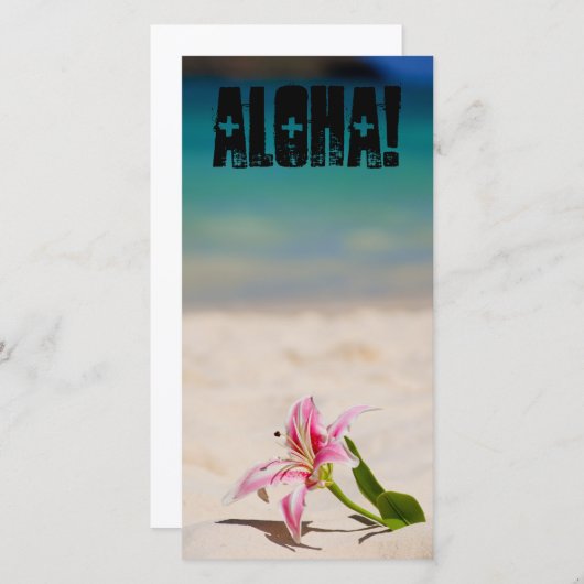 Beach Lily (Front/Back)