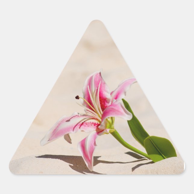 Beach Lily Sticker (Front)