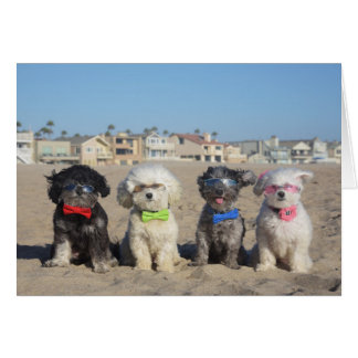 Beach Living Cards