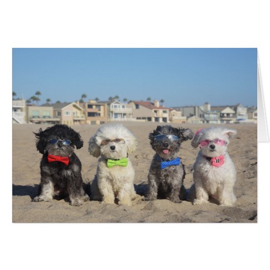Beach Living Cards (Front Horizontal)