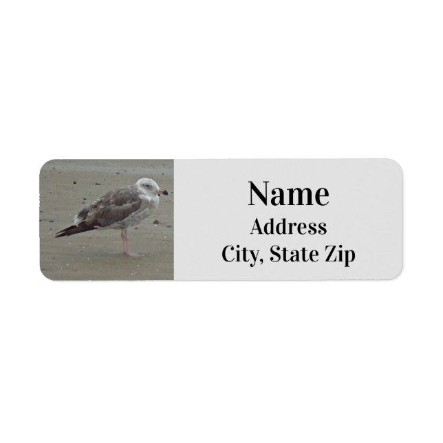 Beach Lone Seagull Photo Ocean Bird Label (Front)