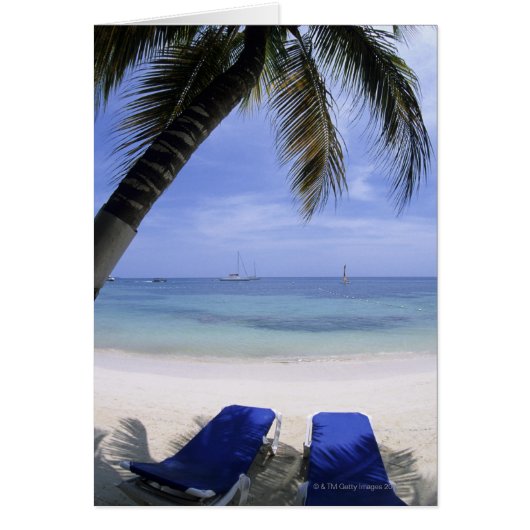 Beach, Lounge Chair, Palm tree, Horizon Over Cards (Front)