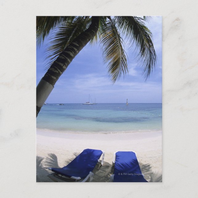 Beach, Lounge Chair, Palm tree, Horizon Over Postcard (Front)