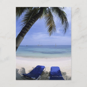 Beach, Lounge Chair, Palm tree, Horizon Over Postcard