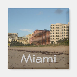Beach Magnet