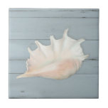 Beach Nautic Seashell Conch Tropical Blue Wood Ceramic Tile<br><div class="desc">Weathered,  sun bleached,  dusty slate blue painted distressed wood board background sets off an elegantly painted Conch seashell. All art was painted in oil pastels by internationally licensed artist and designer,  Audrey Jeanne Roberts,  copyright.</div>