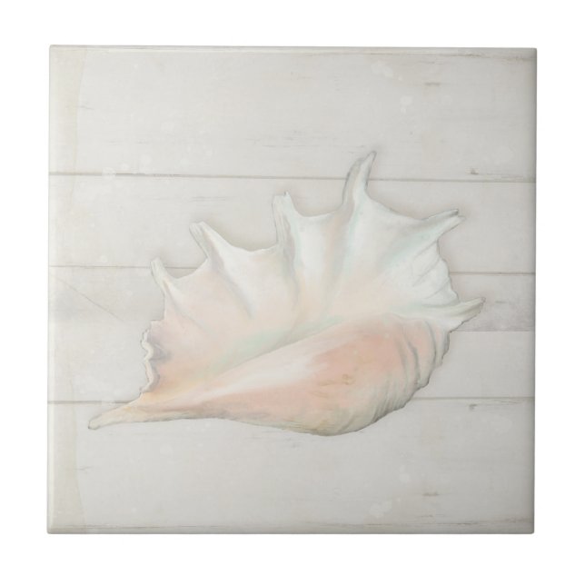 Beach Nautic Seashell Conch Tropical White Wood Ceramic Tile (Front)
