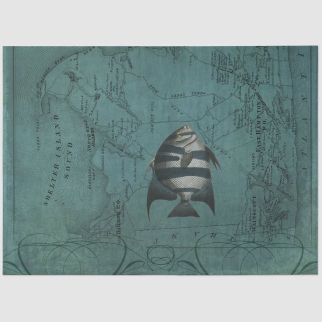 Beach Nautical Ocean Sea Fish East Hampton Map Tissue Paper (Front)