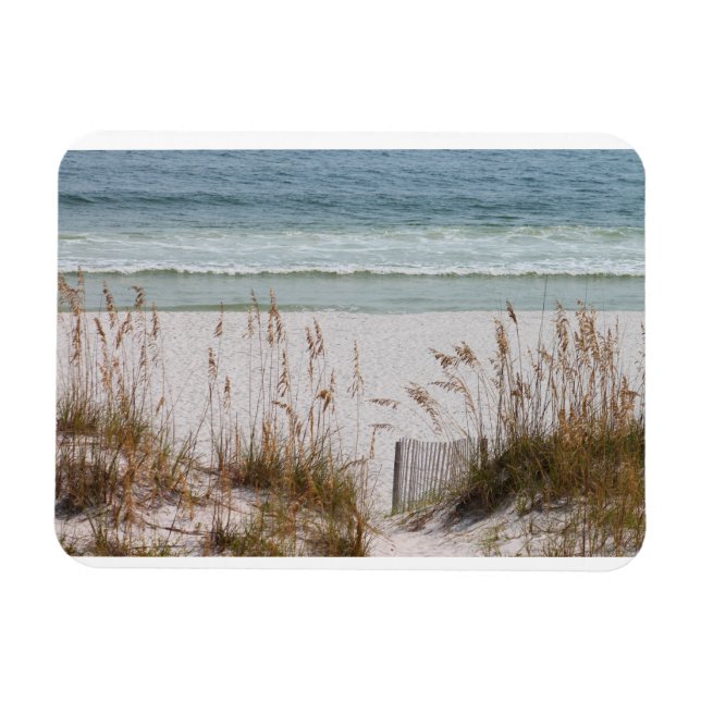 Beach, Ocean, Grass Magnet (Horizontal)