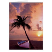 Beach, ocean, palm tree, boat and sunset (Front)