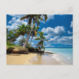 Beach Ocean Photo 168 Postcard