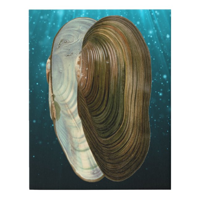 Beach Ocean Sea Shells  Faux Canvas Print (Front)