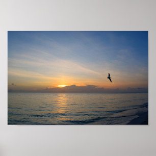 Beach Ocean Sunset Photo 195 Poster