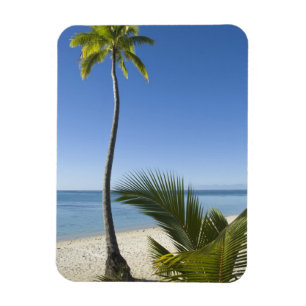 Beach on mainland Aitutaki, Cook Islands Magnet