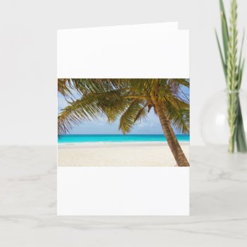 Beach Palm Branches Tree Tropical Island Sand Sea Card by Designs_Accessorize at Zazzle
