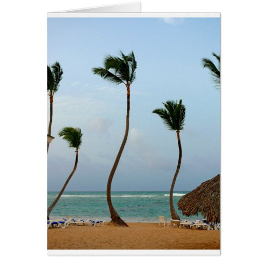 Beach Palm Cards (Front)