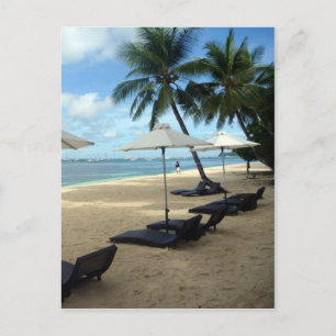 beach palm seats postcard