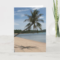 beach palm tree