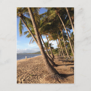 beach, palm trees at Palm Cove postcard