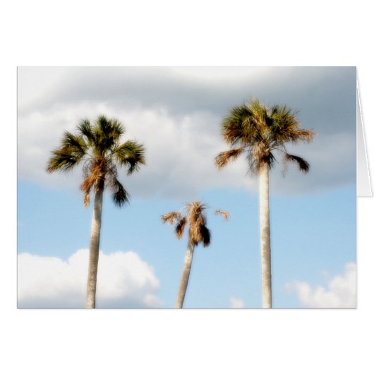Beach Palm Trees Cards (Front Horizontal)