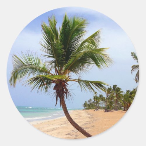 Beach Palm Trees Classic Round Sticker