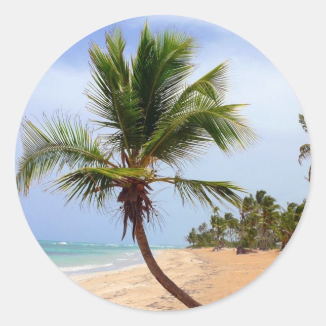 Beach Palm Trees Classic Round Sticker (Front)