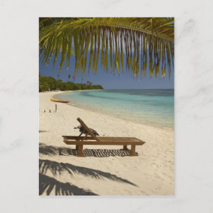 Beach, palm trees & lounger postcard