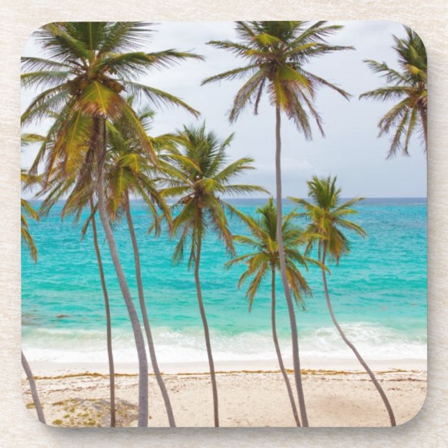 Beach Palms Beverage Coaster (Front)