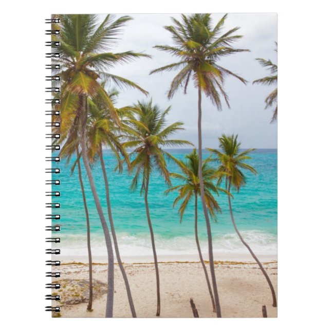 Beach Palms Notebook (Front)