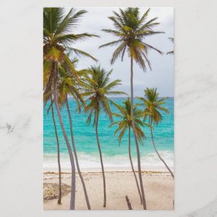 Beach Palms Stationery