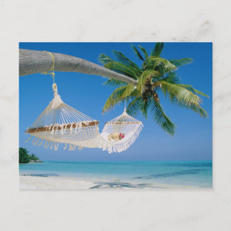 Beach Paradise Vacation Hammock Postcard