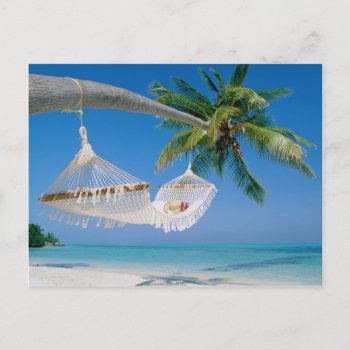 Beach Paradise Vacation Hammock Postcard by Beauty_of_Nature at Zazzle