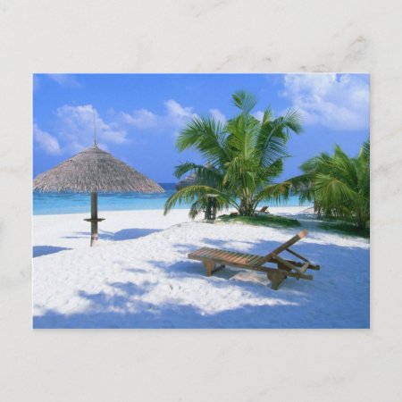 Beach Paradise Vacation Postcard