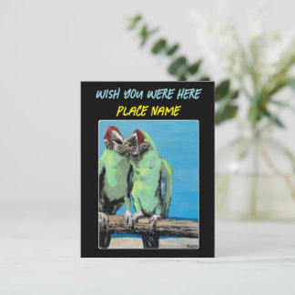 ‘Beach Parrots’ Painting on a Postcard