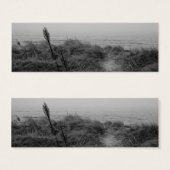 Beach path (Front & Back)