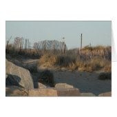 Beach Path (Front Horizontal)