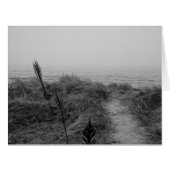 Beach path (Front Horizontal)