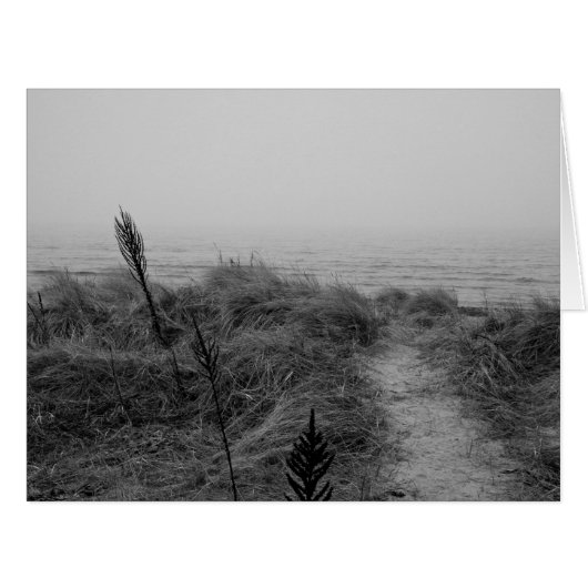 Beach path (Front Horizontal)