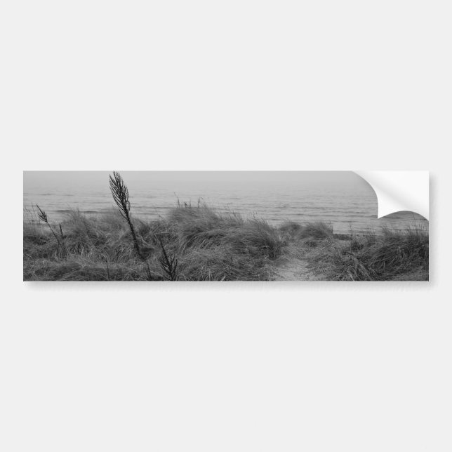 Beach path bumper sticker (Front)