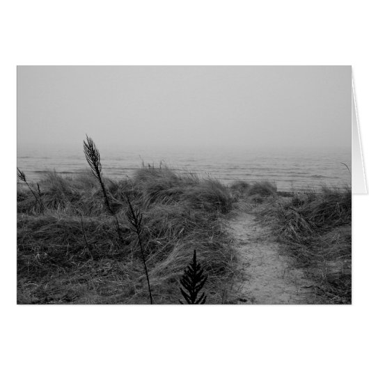 Beach path cards (Front Horizontal)