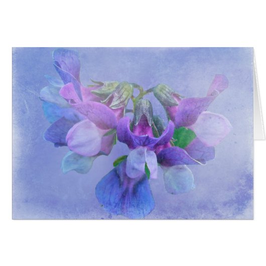 Beach Pea Flowers Cards (Front Horizontal)