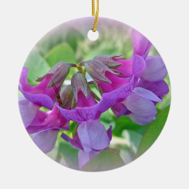 Beach Pea - Lathyrus japonicus - Wildflower Ceramic Ornament (Front)