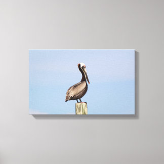 Beach Pelican Fishing Canvas Photograph
