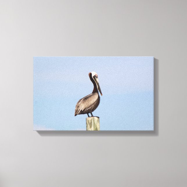 Beach Pelican Fishing Canvas Photograph (Front)