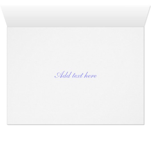 Beach Photography- Log (Inside Horizontal (Bottom))